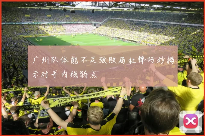 广州队体能不足致败局杜锋巧妙揭示对手内线弱点